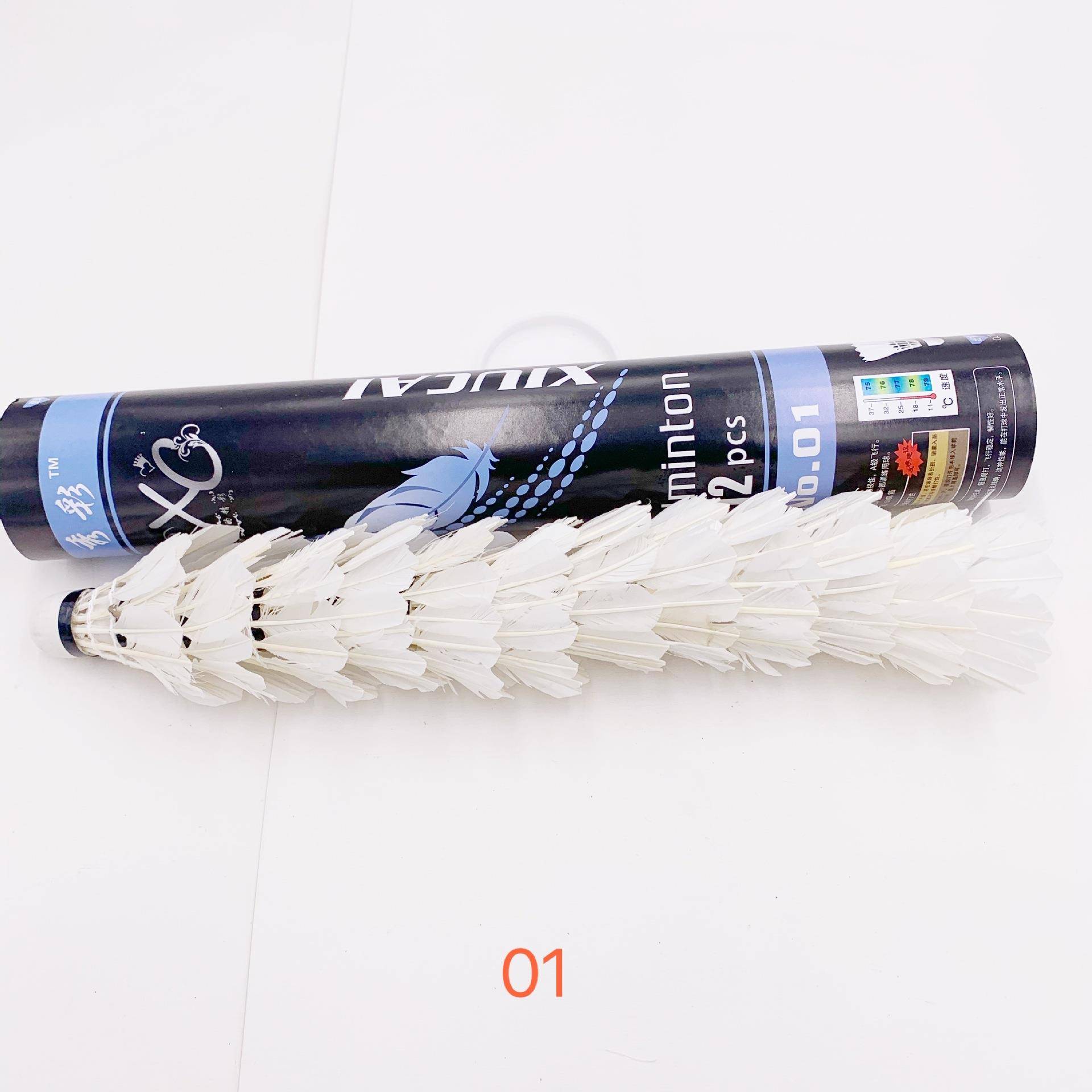 01 badminton